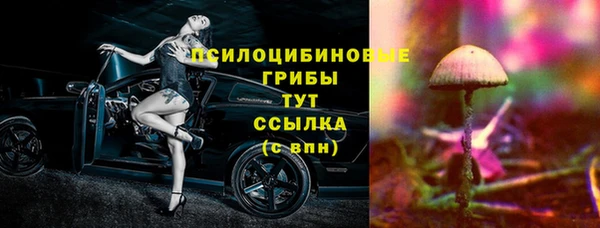 apvp Алзамай