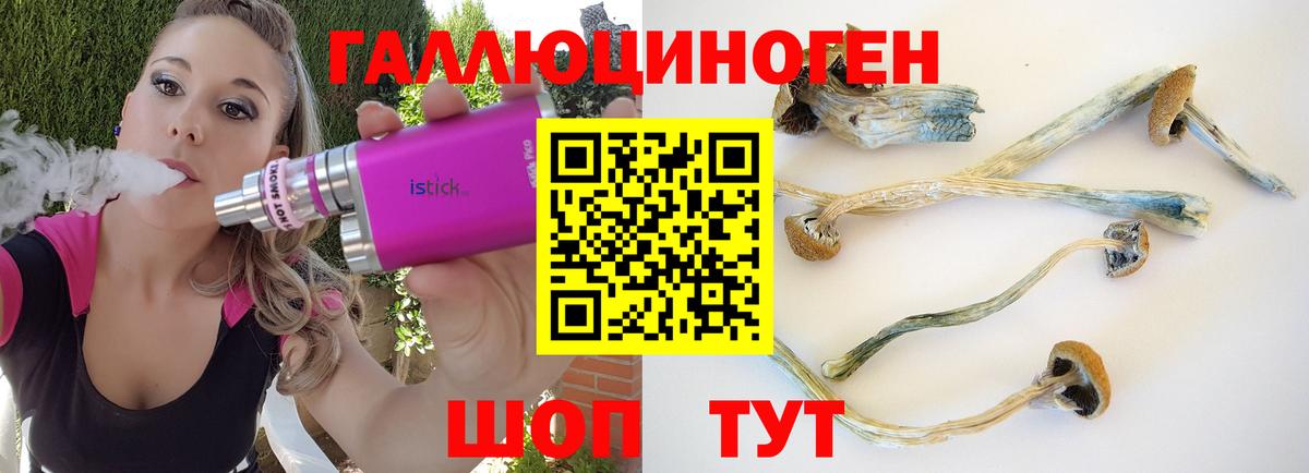 Галлюциногенные грибы ЛСД Борзя