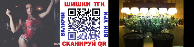 Шишки марихуана планчик  купить наркотик  Борзя 